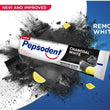 PEPSODENT CHARCOAL WHITE TOOTHPASTE