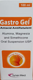 GASTRO GEL 100ML
